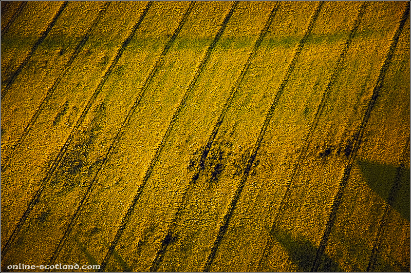 Fields from the Air