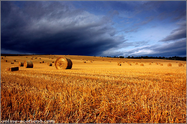 Blairgowrie