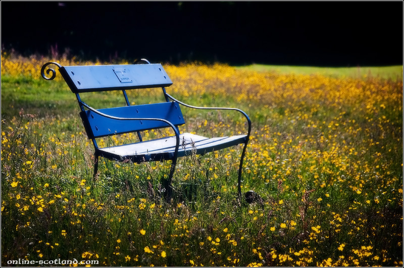 Comrie Park Bench