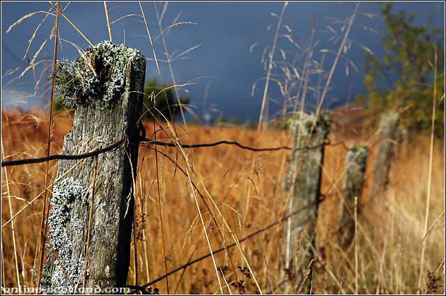 Glen Lednock Fence