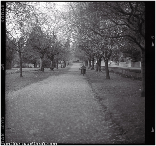 Bridge of Allan Park