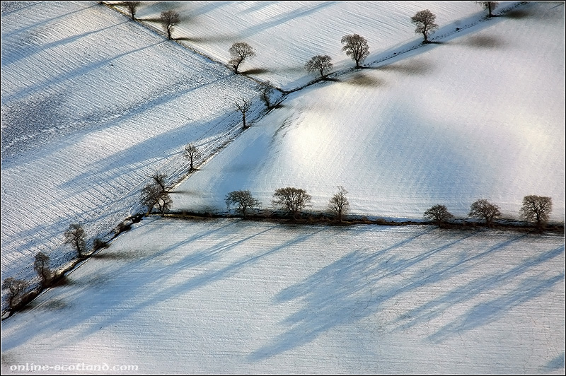 Muthill Fields from the Air