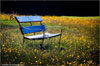 Comrie Park Bench