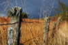 Glen Lednock Fence