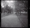 Bridge of Allan Park