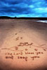 Port Henderson Beach Art
