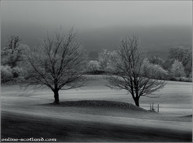 Lonesome Twins